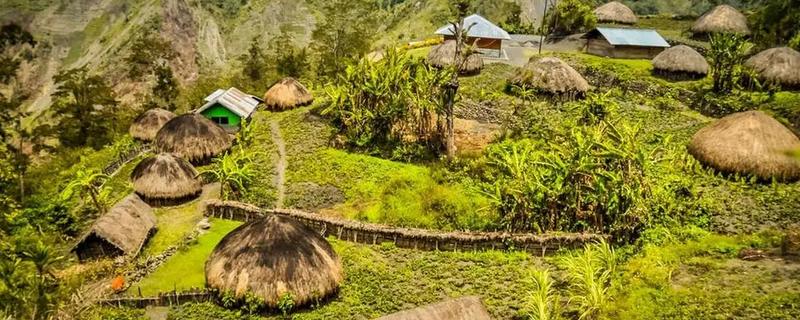 原始农业兴起有什么标志，包括作物种植、家畜饲养的出现等