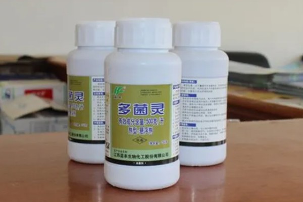 多菌灵的灌根方法，直接沿着根部表皮倒下去