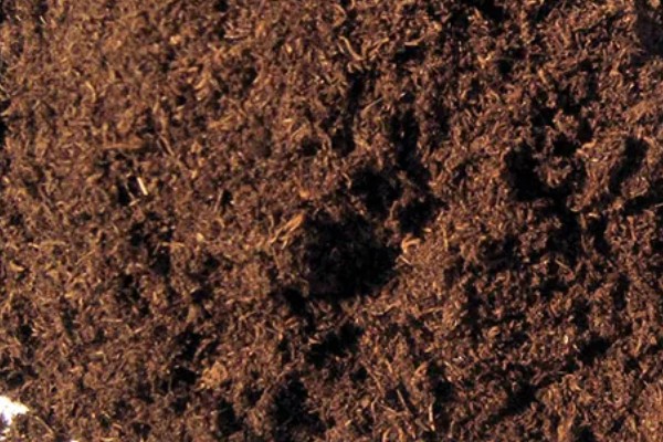 泥炭土好还是草炭土好，属于同一种纤维物