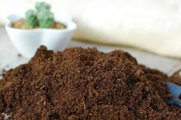 泥炭土好还是草炭土好，属于同一种纤维物