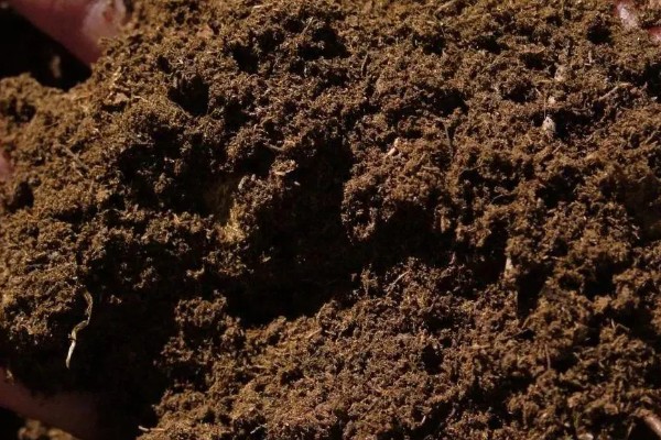 泥炭土好还是草炭土好，属于同一种纤维物