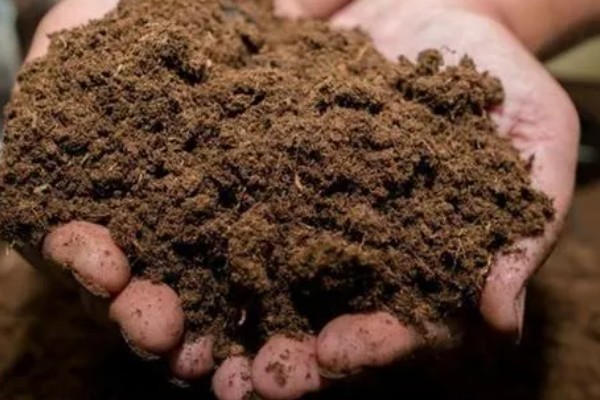 泥炭土好还是草炭土好，属于同一种纤维物