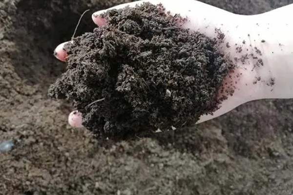 泥炭土好还是草炭土好，属于同一种纤维物