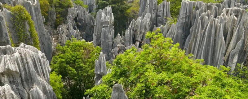 喀斯特地貌有哪些特点，在地下有溶洞、地下河与暗湖