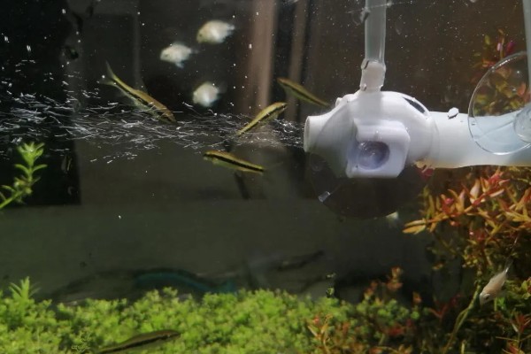 鱼缸能不能一直打氧，一直打氧有利有弊