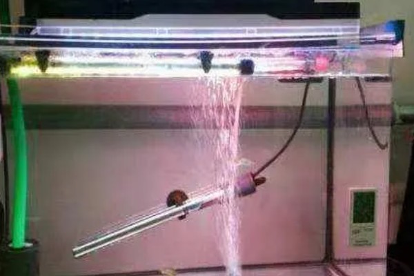 鱼缸能不能一直打氧，一直打氧有利有弊