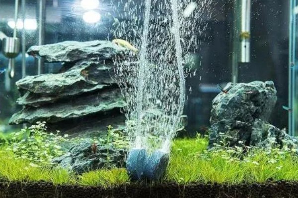 鱼缸能不能一直打氧，一直打氧有利有弊