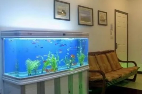 鱼缸能不能一直打氧，一直打氧有利有弊