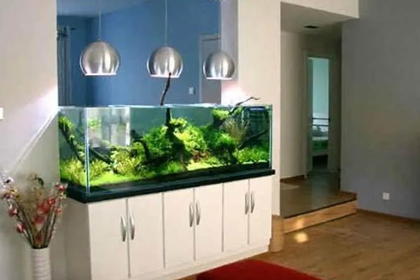 鱼缸能不能一直打氧，一直打氧有利有弊