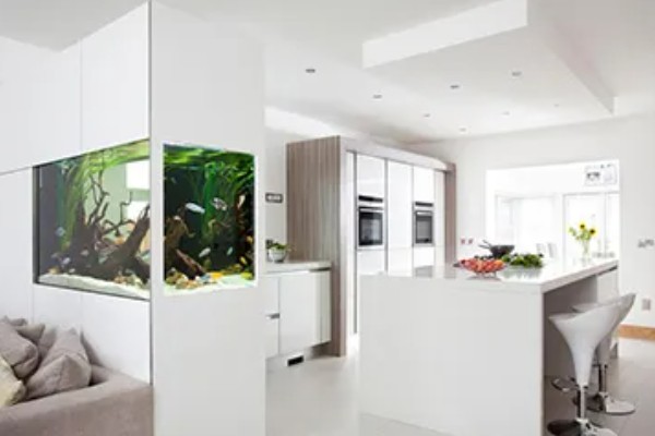 鱼缸能不能一直打氧，一直打氧有利有弊