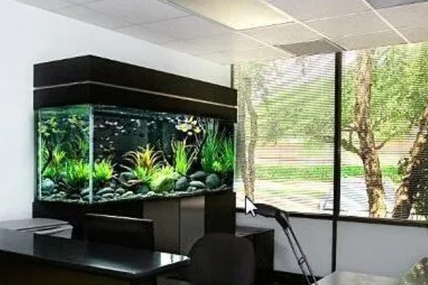 鱼缸能不能一直打氧，一直打氧有利有弊