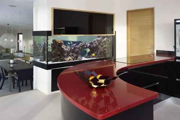 鱼缸能不能一直打氧，一直打氧有利有弊