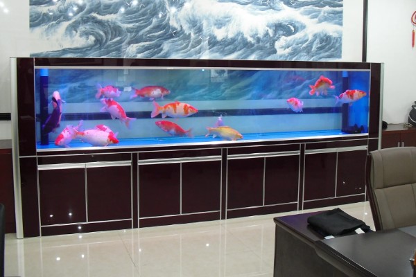 刚入缸的锦鲤怎么养,水温保持在20-25℃