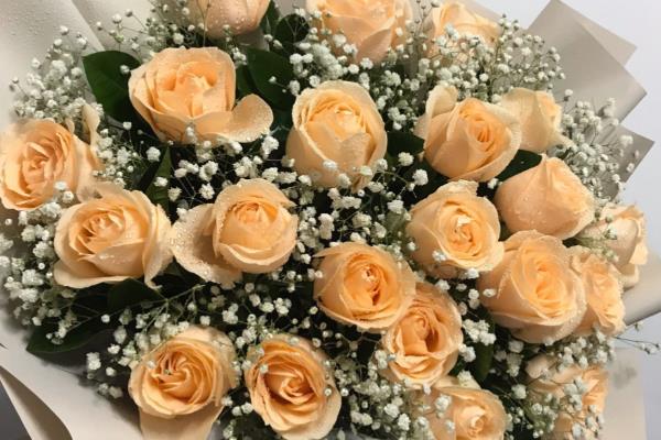 18朵红玫瑰代表什么，具有热烈爱情、青春永驻等含义