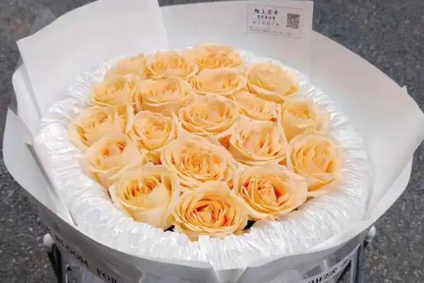 18朵红玫瑰代表什么，具有热烈爱情、青春永驻等含义