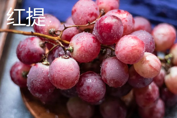国内葡萄的常见品种，有夏黑、克伦生等