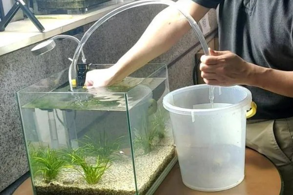 鱼是靠什么游动的，靠胸鳍、腹鳍等游动