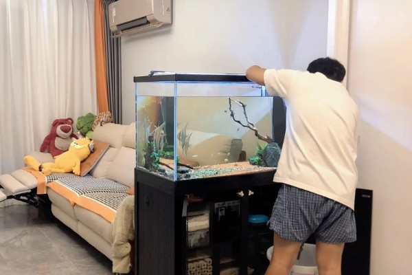 鱼是靠什么游动的，靠胸鳍、腹鳍等游动