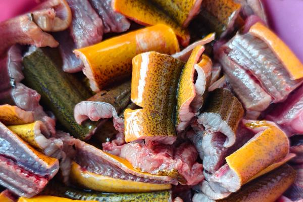 黄鳝是不是雌雄同体，黄鳝不是雌雄同体