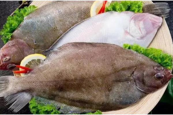 鲽鱼和鸦片鱼有什么区别,前者身体呈圆盘形、后者身体呈侧扁状