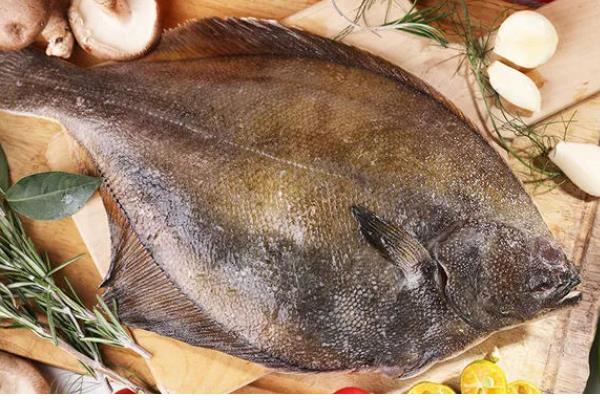 鲽鱼和鸦片鱼有什么区别,前者身体呈圆盘形、后者身体呈侧扁状