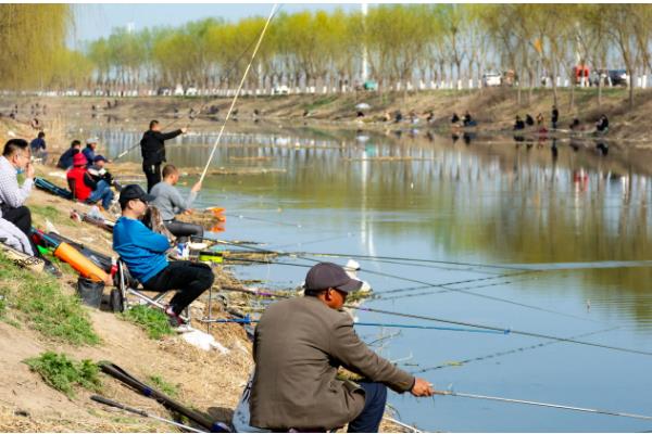 3月份可以路亚哪些鱼，常见鲫鱼、黑鱼、翘嘴鱼等品种