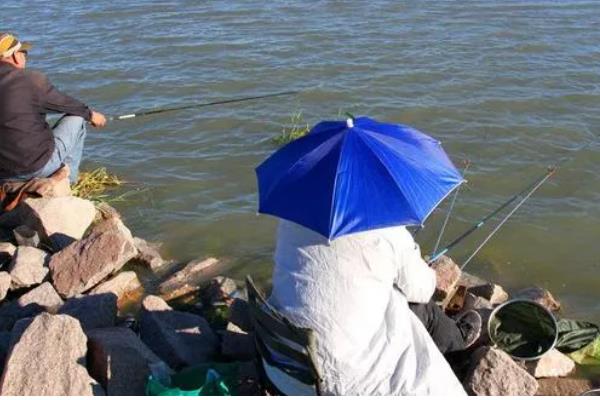 3月份可以路亚哪些鱼，常见鲫鱼、黑鱼、翘嘴鱼等品种