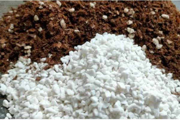 月季怎么施肥,春秋季节每个月追施一次