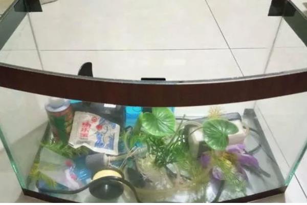 鱼缸有哪些材质,基本都是玻璃材质的