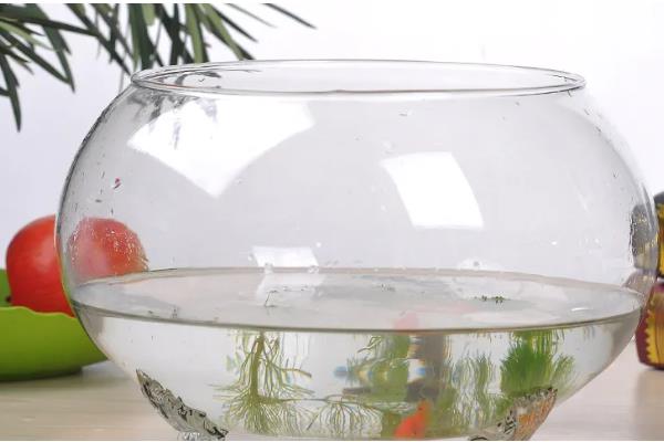 鱼缸有哪些材质,基本都是玻璃材质的
