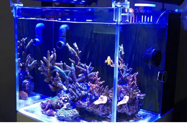 鱼缸有哪些材质,基本都是玻璃材质的