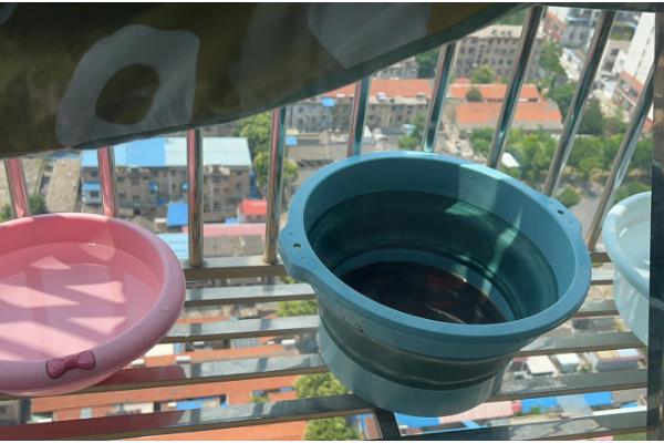 鱼缸有哪些材质,基本都是玻璃材质的