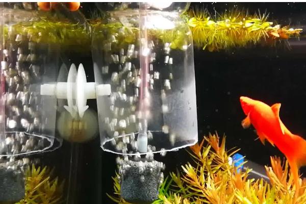 鱼缸有哪些材质,基本都是玻璃材质的