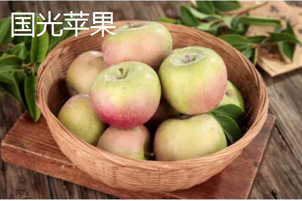 种植苹果的条件，光照充足才能正常生长发育