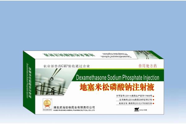 地塞米松能不能治疗猪鼻炎，每天使用2次以上有较好的疗效