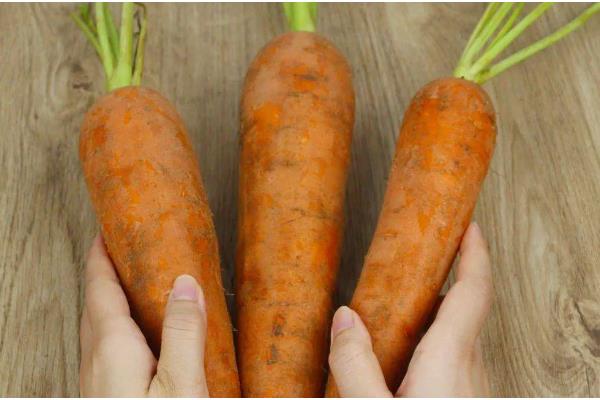 挑选萝卜的方法，大小适中的萝卜值得选择
