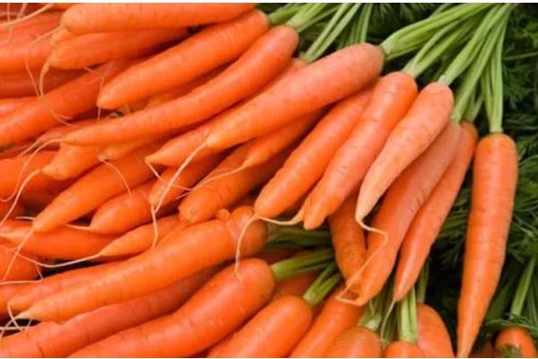 挑选萝卜的方法，大小适中的萝卜值得选择