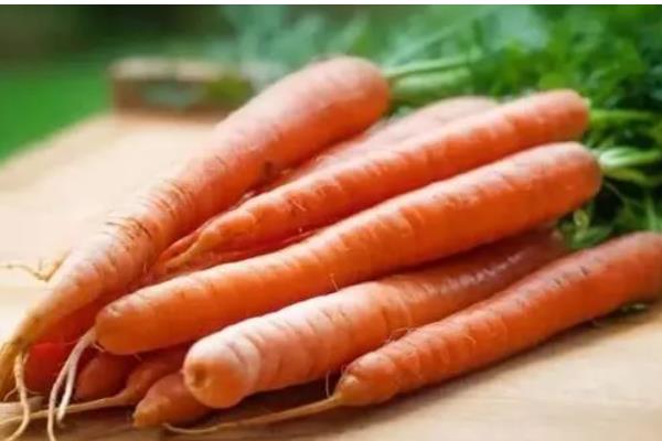 挑选萝卜的方法，大小适中的萝卜值得选择