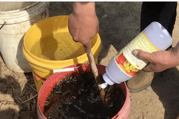 炸过东西的油能当肥料吗,可以当作肥料