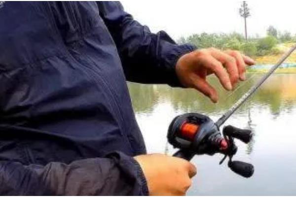 如何有效垂钓甲鱼，可采取手竿钓法、海竿拉钓等方式