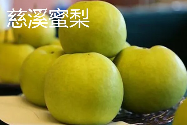 浙江省慈溪市的特产，慈溪丝瓜出口海外