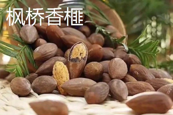 浙江省慈溪市的特产，慈溪丝瓜出口海外