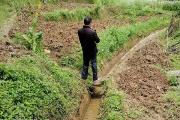 雨季怎么进行蔬菜生产，雨停后要及时清沟排水
