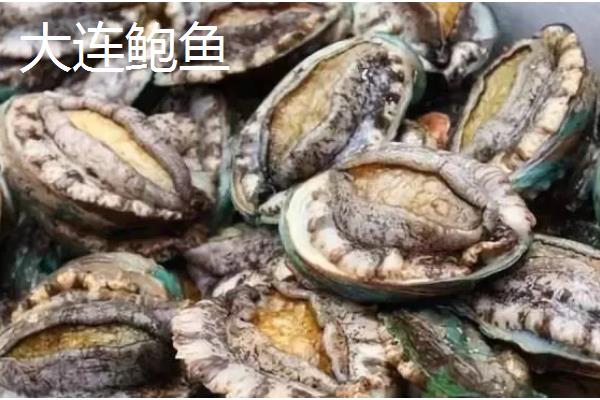 我国知名的鲍鱼产地，东山鲍鱼、连江鲍鱼、大连鲍鱼都有很高的知名度