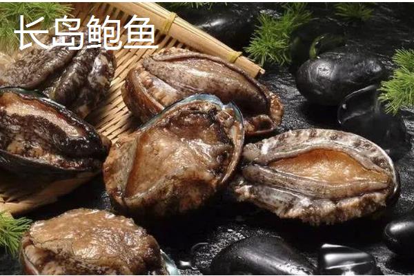 我国知名的鲍鱼产地，东山鲍鱼、连江鲍鱼、大连鲍鱼都有很高的知名度