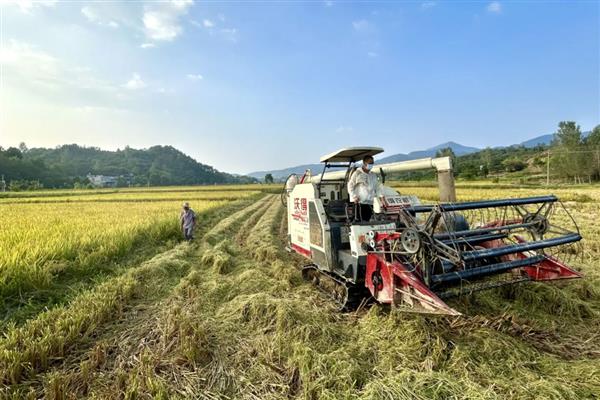 农机出车需注意什么，及时添加柴油、机油和齿轮油