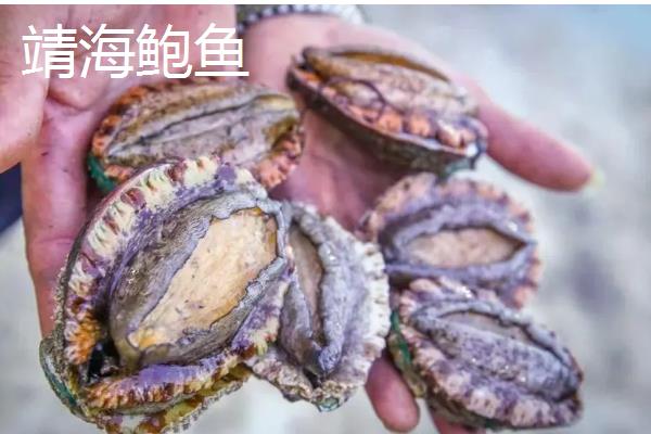 我国知名的鲍鱼产地，东山鲍鱼、连江鲍鱼、大连鲍鱼都有很高的知名度