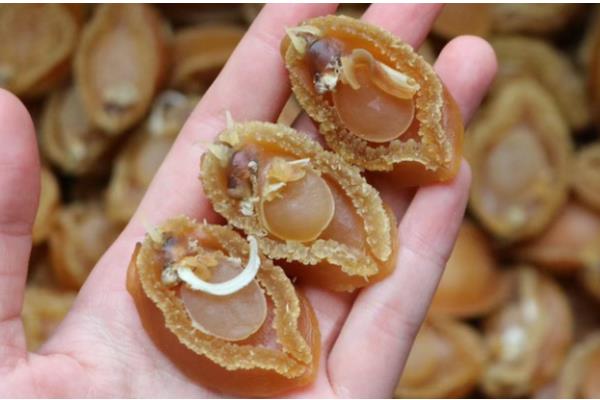 我国知名的鲍鱼产地，东山鲍鱼、连江鲍鱼、大连鲍鱼都有很高的知名度