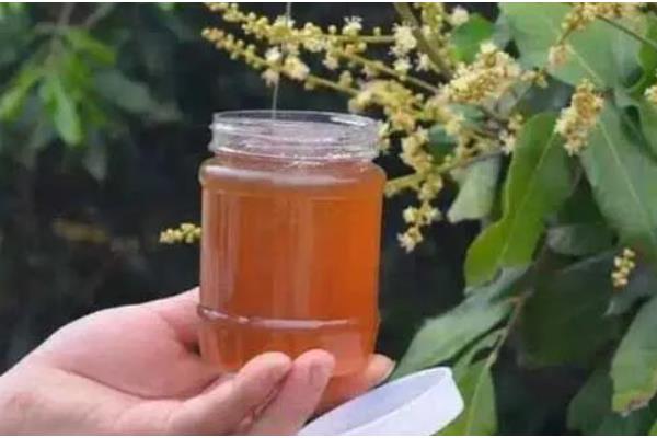 荔枝蜜的特点，颜色多呈琥珀色