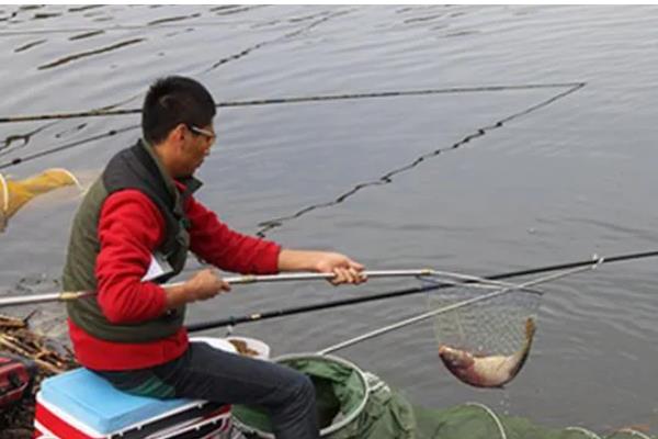 垂钓淡水白鲳的鱼饵用什么味型，选择腥饵可以激发它的摄食积极性
